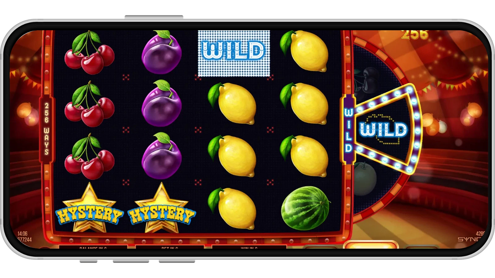TuWild Circus 256 nahladovy obrazok