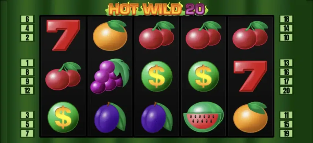 Hot Wild 20