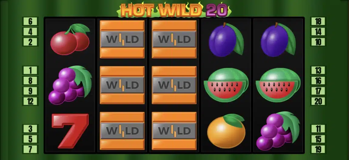 hot wild 20